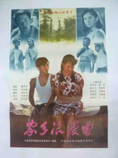 办假的高维利 斯蒂芬森学院学位证